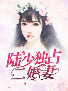 陆少独占二婚妻
